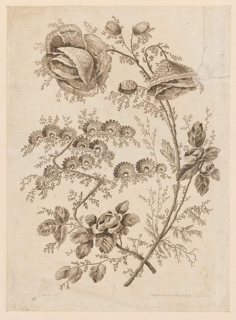 Flower Bough, fra "Cahier de Fleurs Singuliers" af Jean Baptiste Pillement