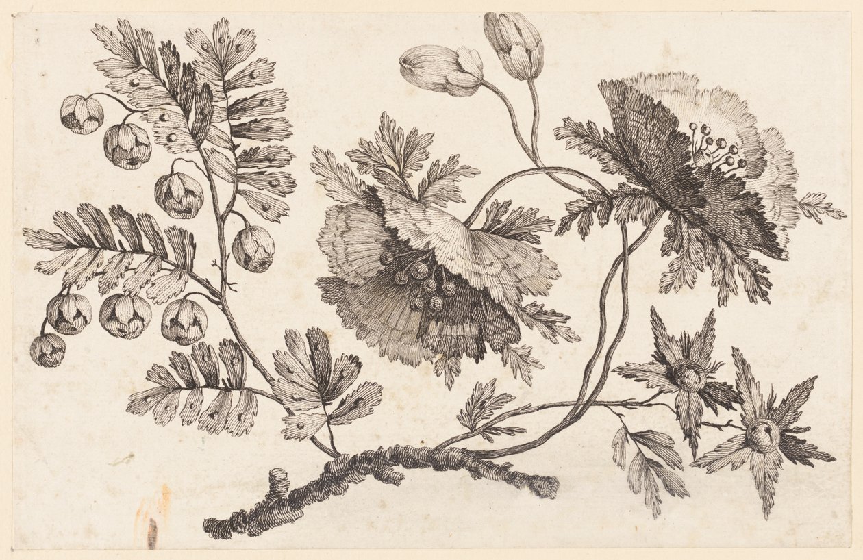 Flower Bough, fra "Chinese Flower Collection" af Jean Baptiste Pillement