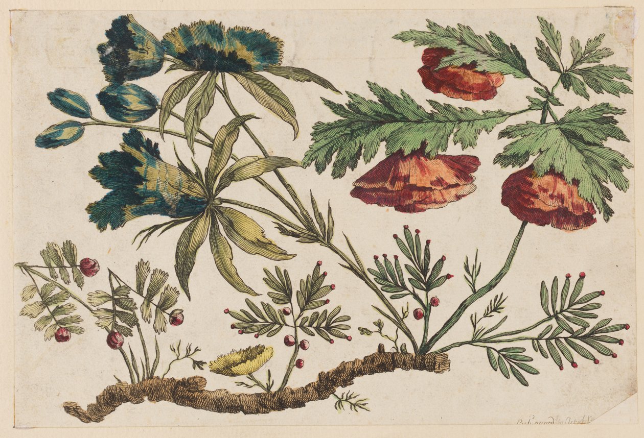 Flower Bough, fra "Chinese Flower Collection" af Jean Baptiste Pillement
