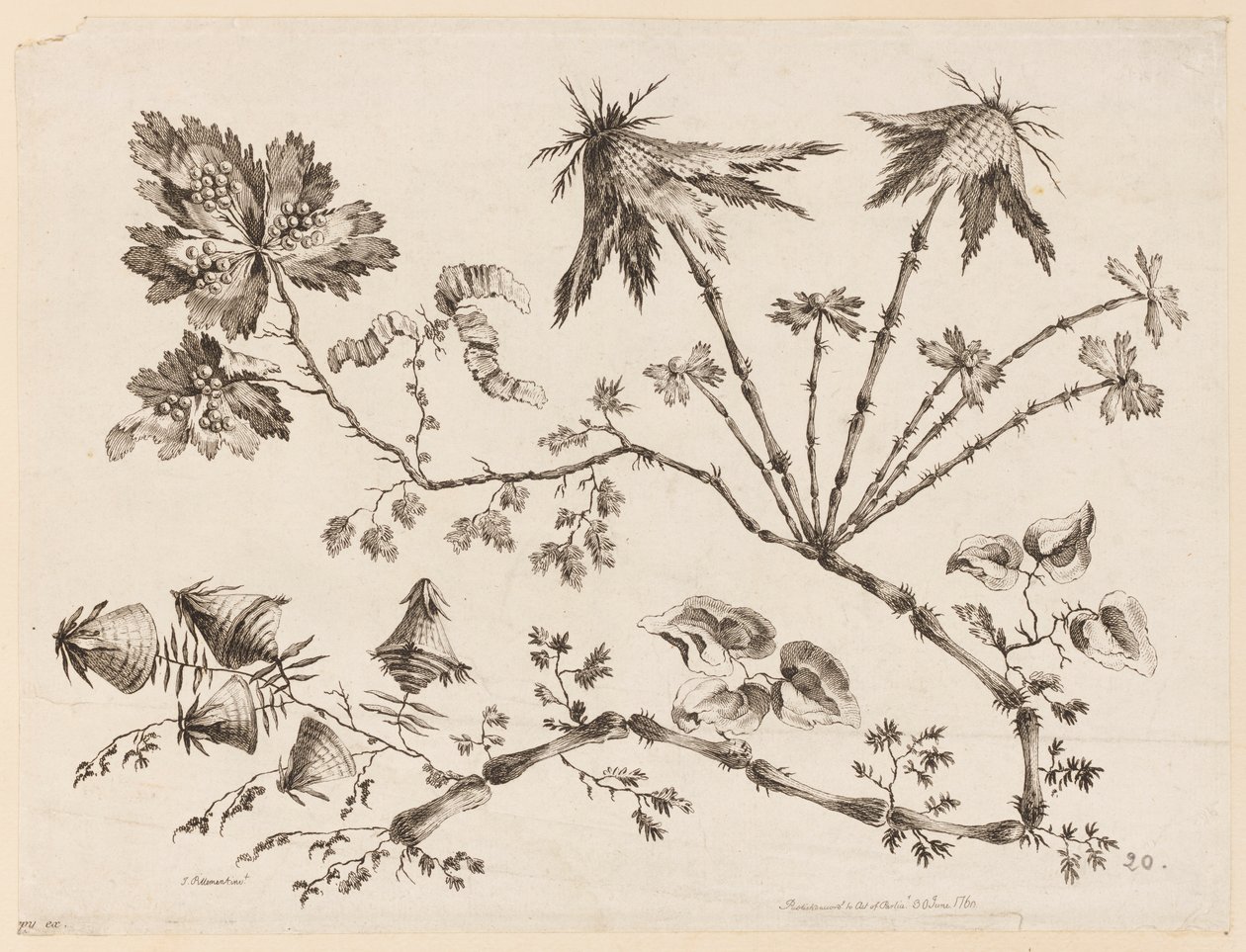 Blomstergrene, fra "Samling af forskellige fantasiblomster i kinesisk smag" af Jean Baptiste Pillement