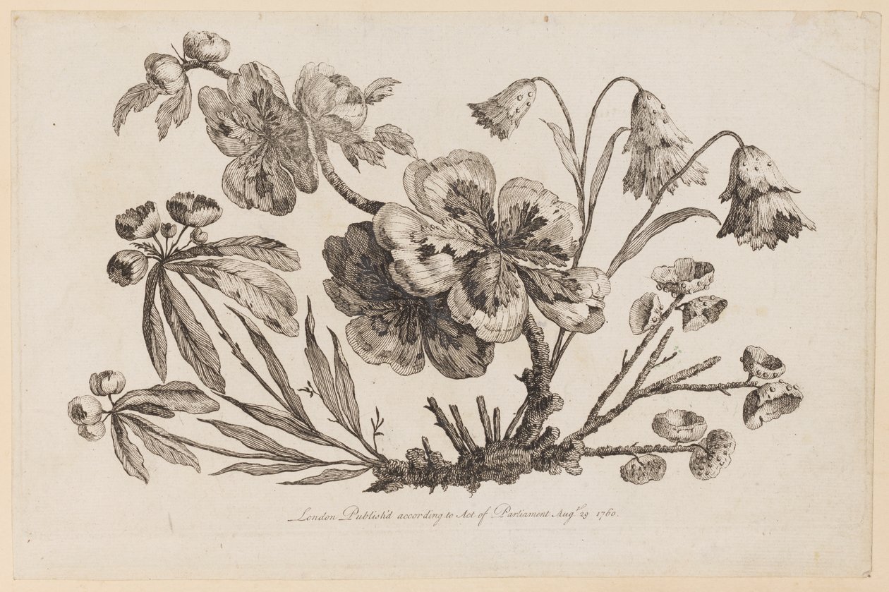 Blomstergrene, fra "Collection of Chinese Flowers" af Jean Baptiste Pillement