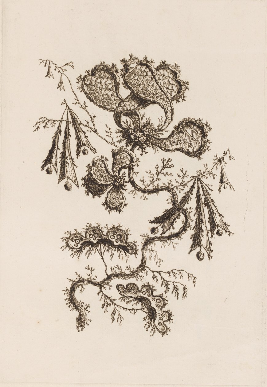 Blomstergren, fra "Fleures Persannes" af Jean Baptiste Pillement