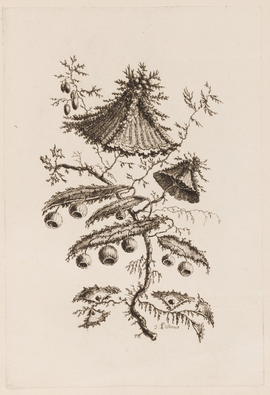 Blomstergren, fra "Fleures Persannes" af Jean Baptiste Pillement