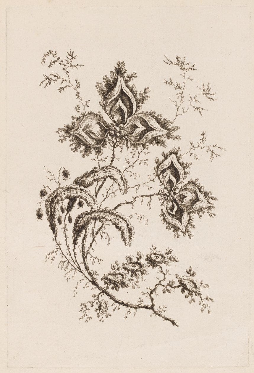 Blomstergren, fra "Fleures Persannes" af Jean Baptiste Pillement