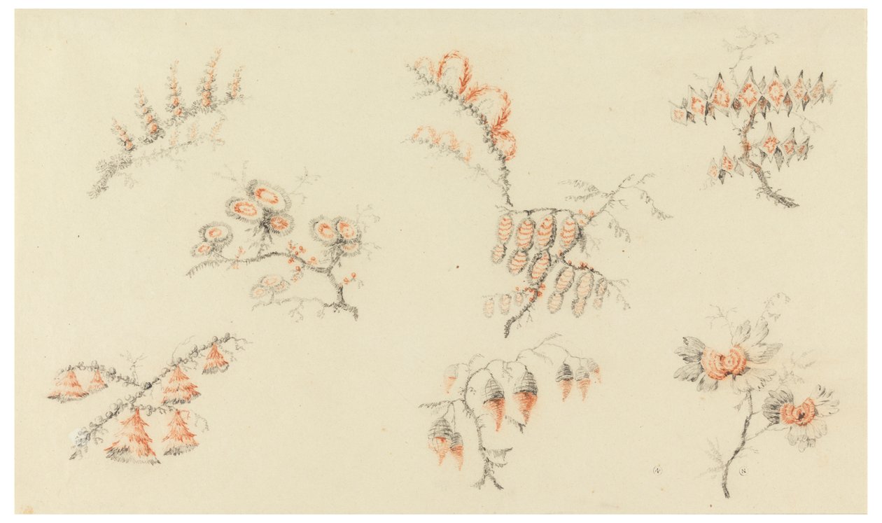 Sprays af syv ideelle blomster og af en næsten naturalistisk blomst af Jean Baptiste Pillement