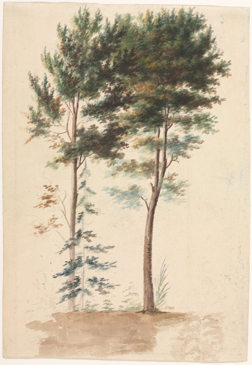 Træer af Jean Baptiste Pillement