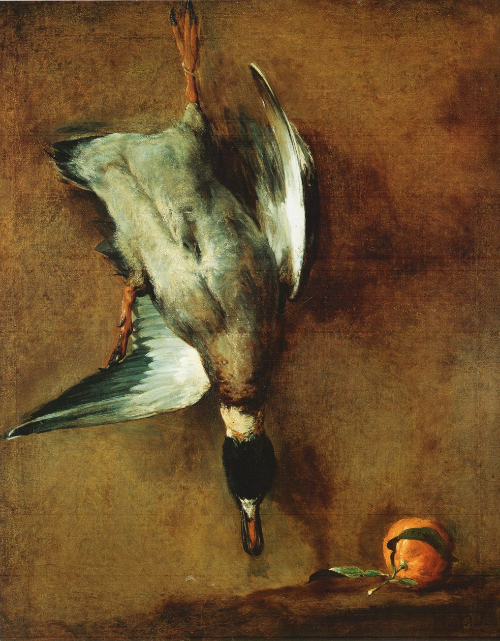 En grønhalset and bundet til væggen og en periwinkle af Jean Baptiste Simeon Chardin
