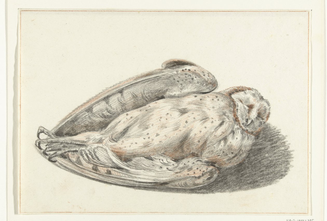 død ugle af Jean Bernard