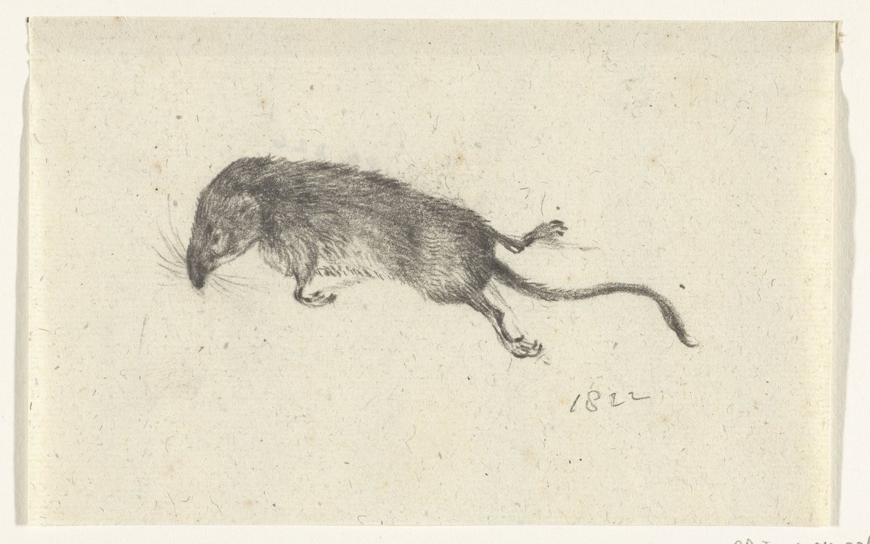 død mus af Jean Bernard