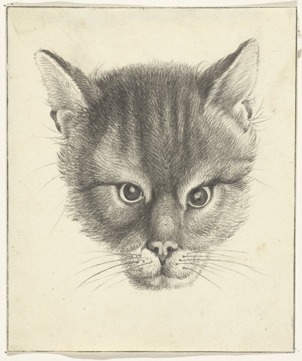 Kattehoved, forfra af Jean Bernard