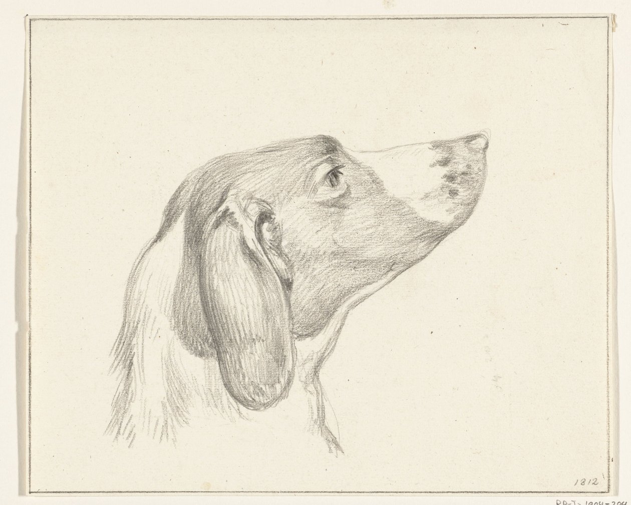 Hovedet af en hund, til højre af Jean Bernard