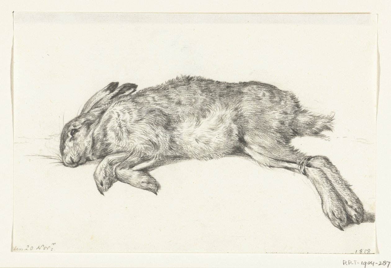 Liggende død hare af Jean Bernard
