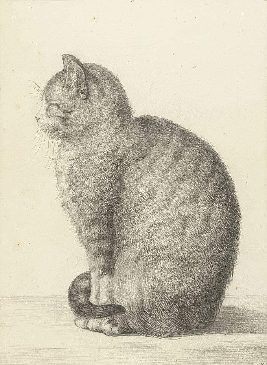 Siddende kat, til venstre. 1815 af Jean Bernard