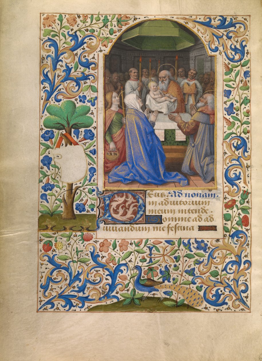 Die Darstellung im Tempel af Jean Bourdichon