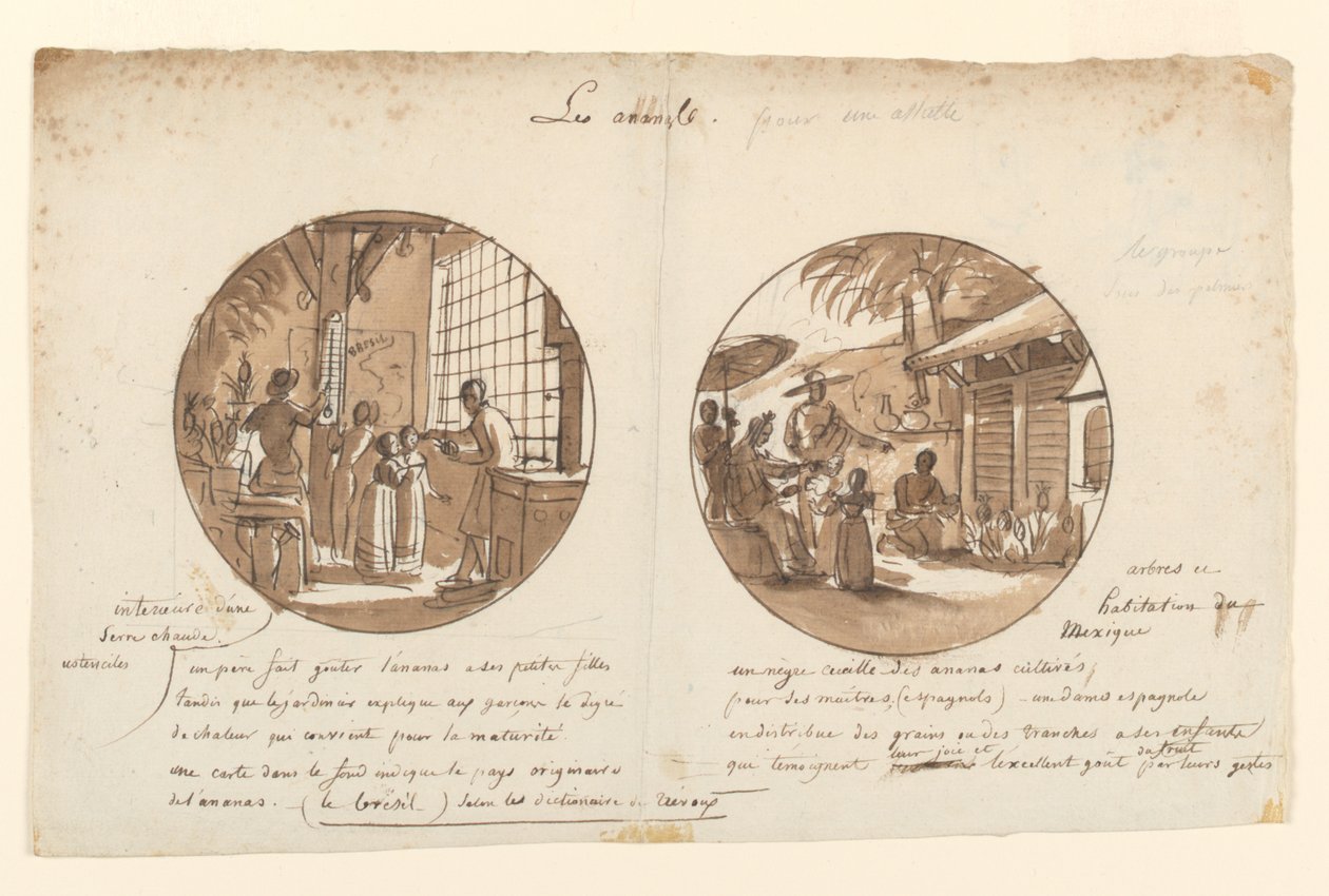 Designs til malede porcelænstallerkener, Les Ananas (ananas) fra Service des Objets de Dessert (Dessertservice) af Jean Charles Develly