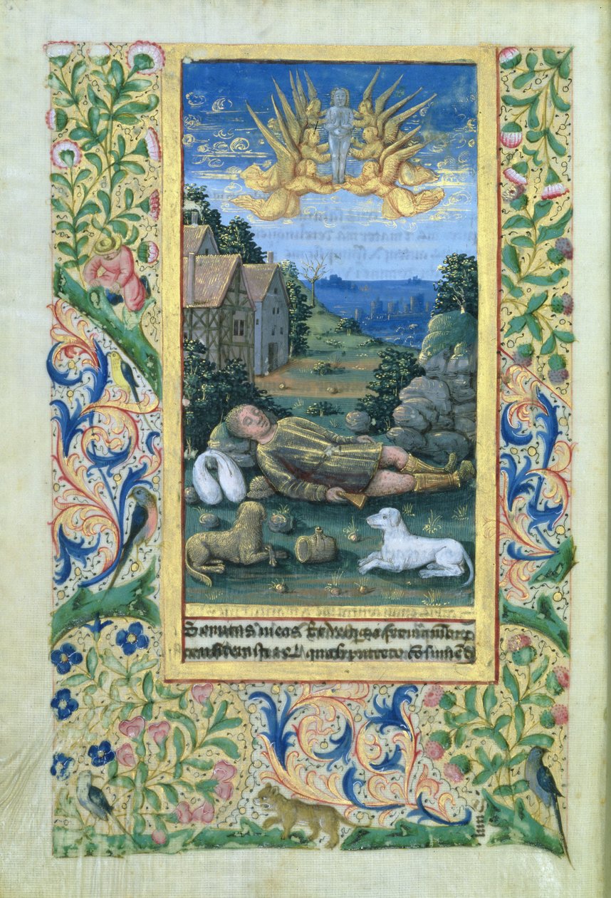 Fru Lat. Q.v.I.126 Saint Roch, fra Louis d