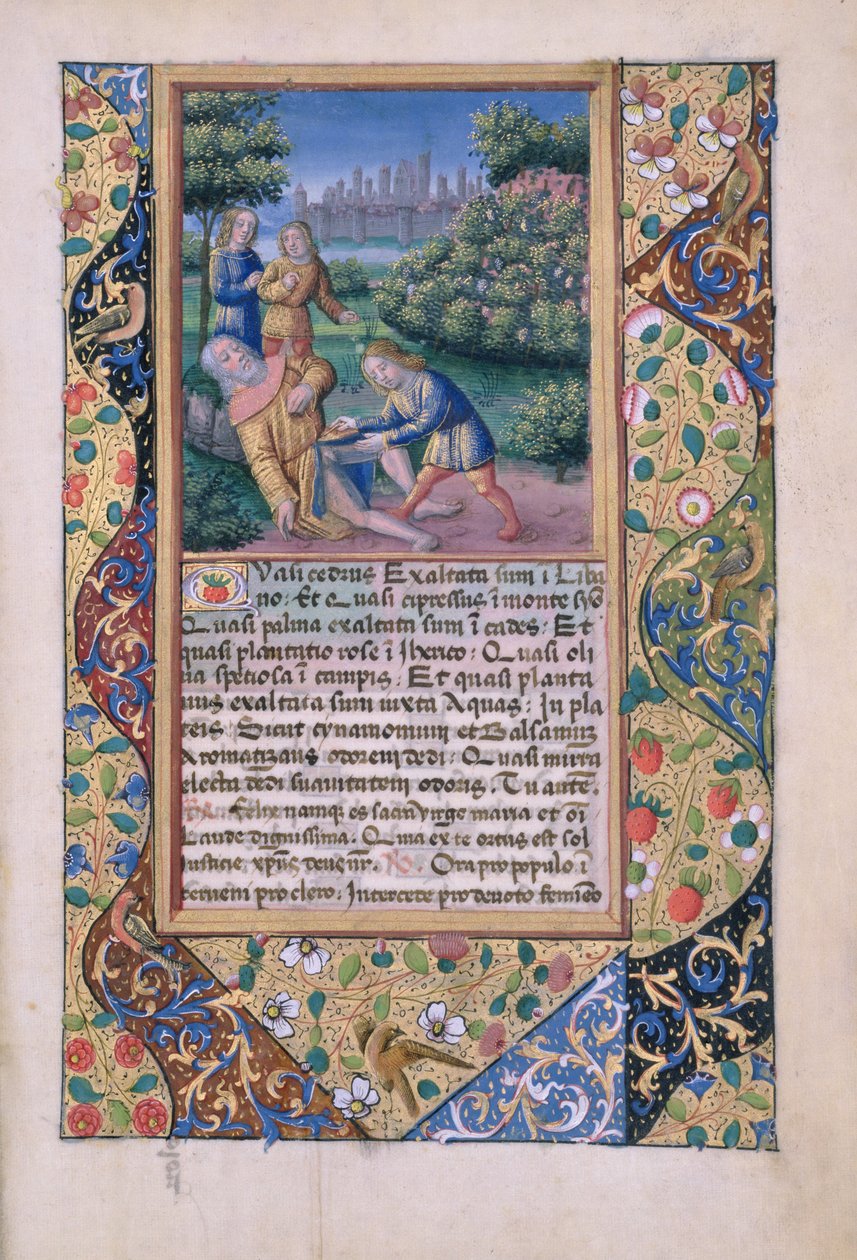 Fru Lat. Q.v.I.126 fol.17 The Drunkenness of Noah, fra Book of Hours of Louis dOrleans, 1490 af Jean Colombe