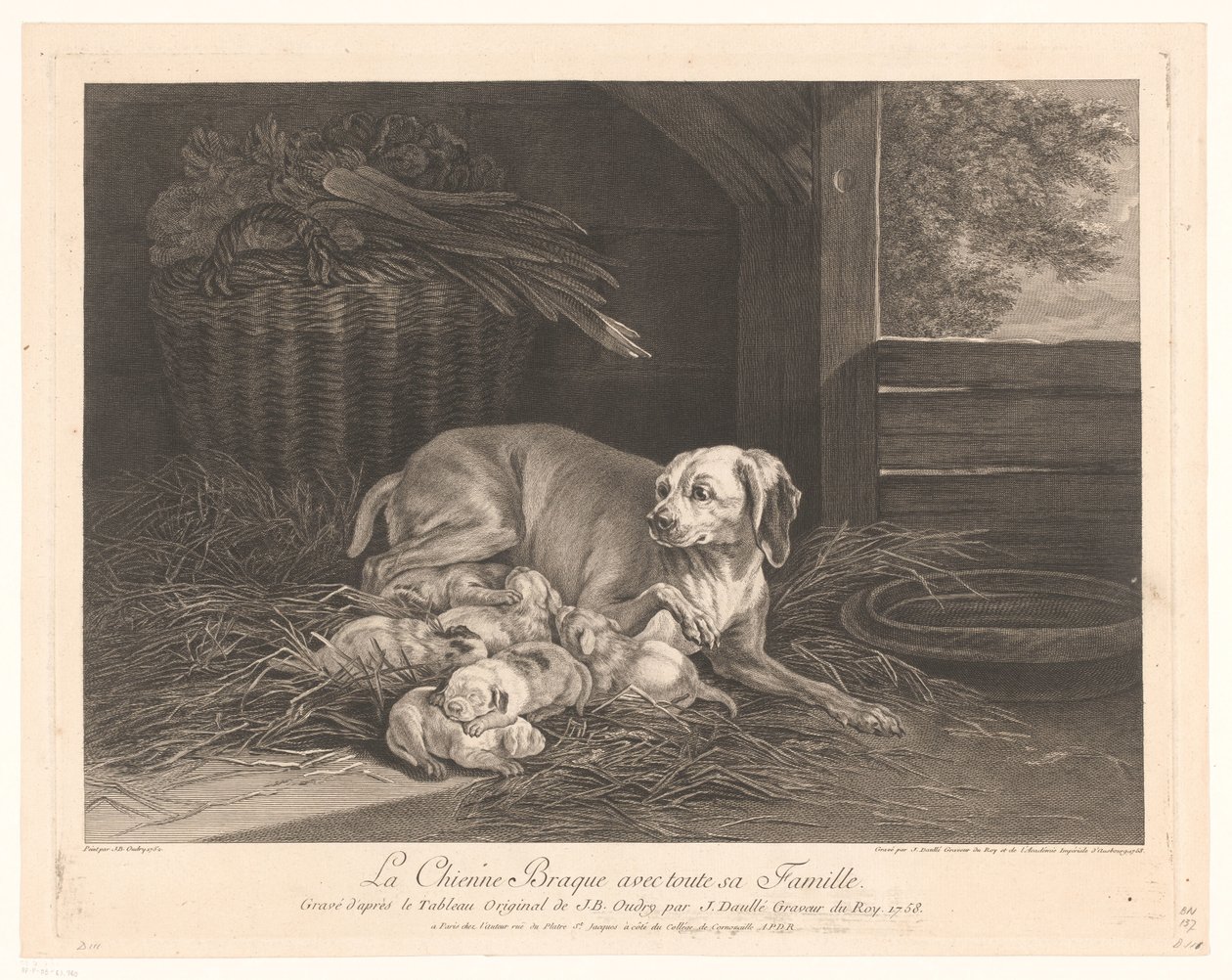Bracke-hond met jongen in een stal Braque-hunden med hele hendes familie. (titel på objekt) af Jean Daullé