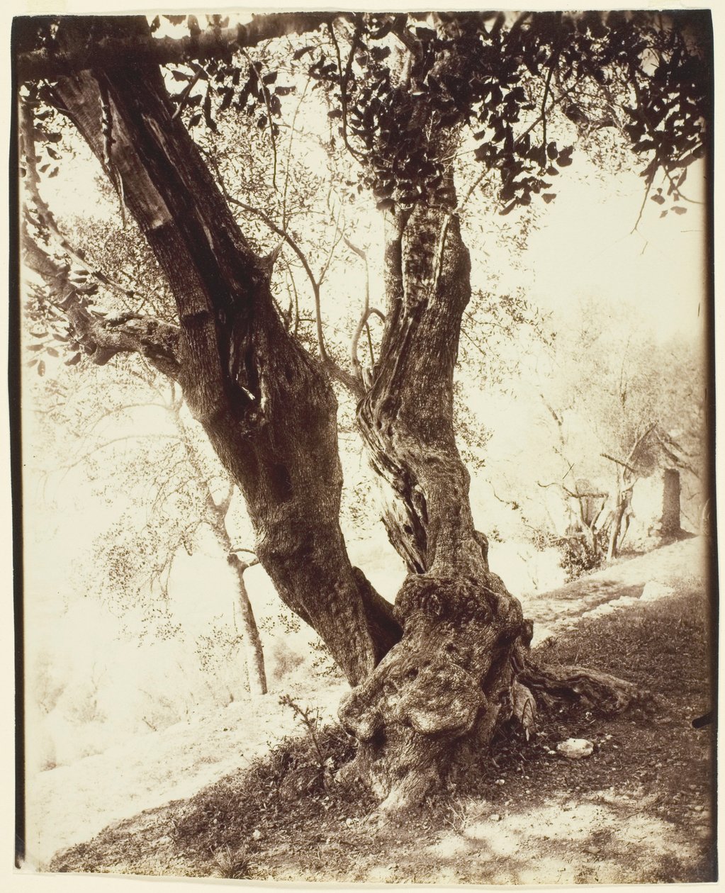  af Jean Eugène Auguste Atget