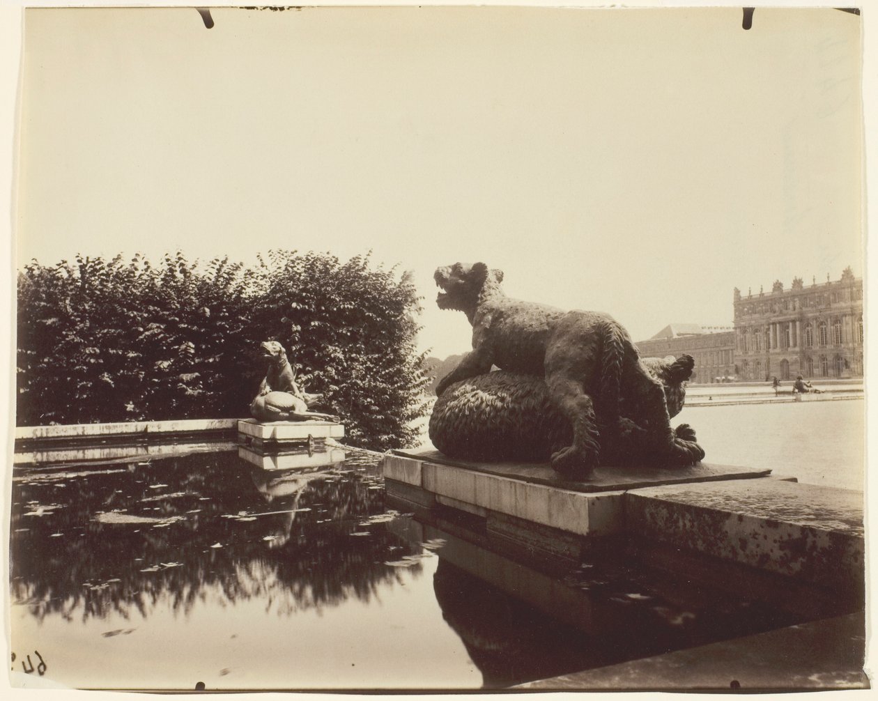 Versailles, Fontaine du Point du Jour, (Tigre Terrassant un Ours af Houzeau) af Jean Eugène Auguste Atget