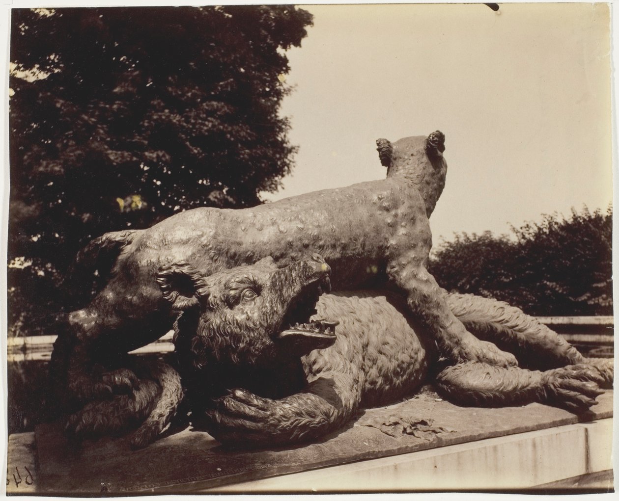 Versailles, Fontaine du Point du Jour, (Tigre Terrassant un Ours af Houzeau) af Jean Eugène Auguste Atget