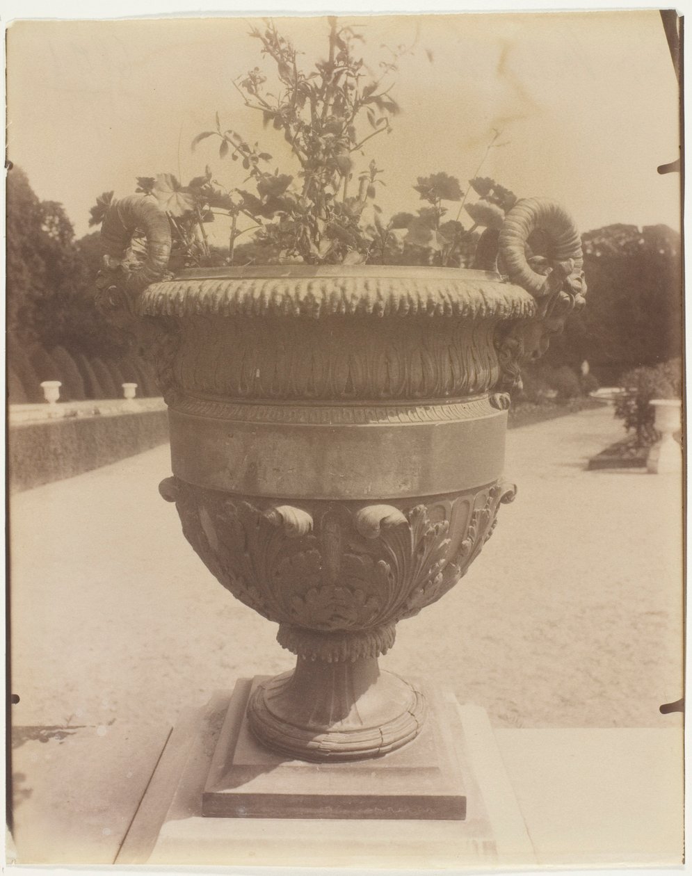 Versailles, vase af Ballin af Jean Eugène Auguste Atget