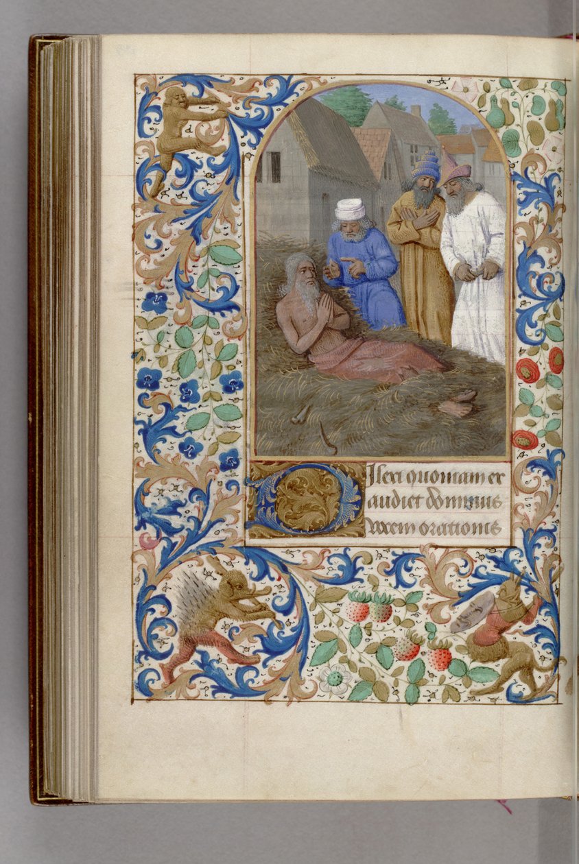 Job på møgbakkens timebog, 1450-1499 af Jean Fouquet