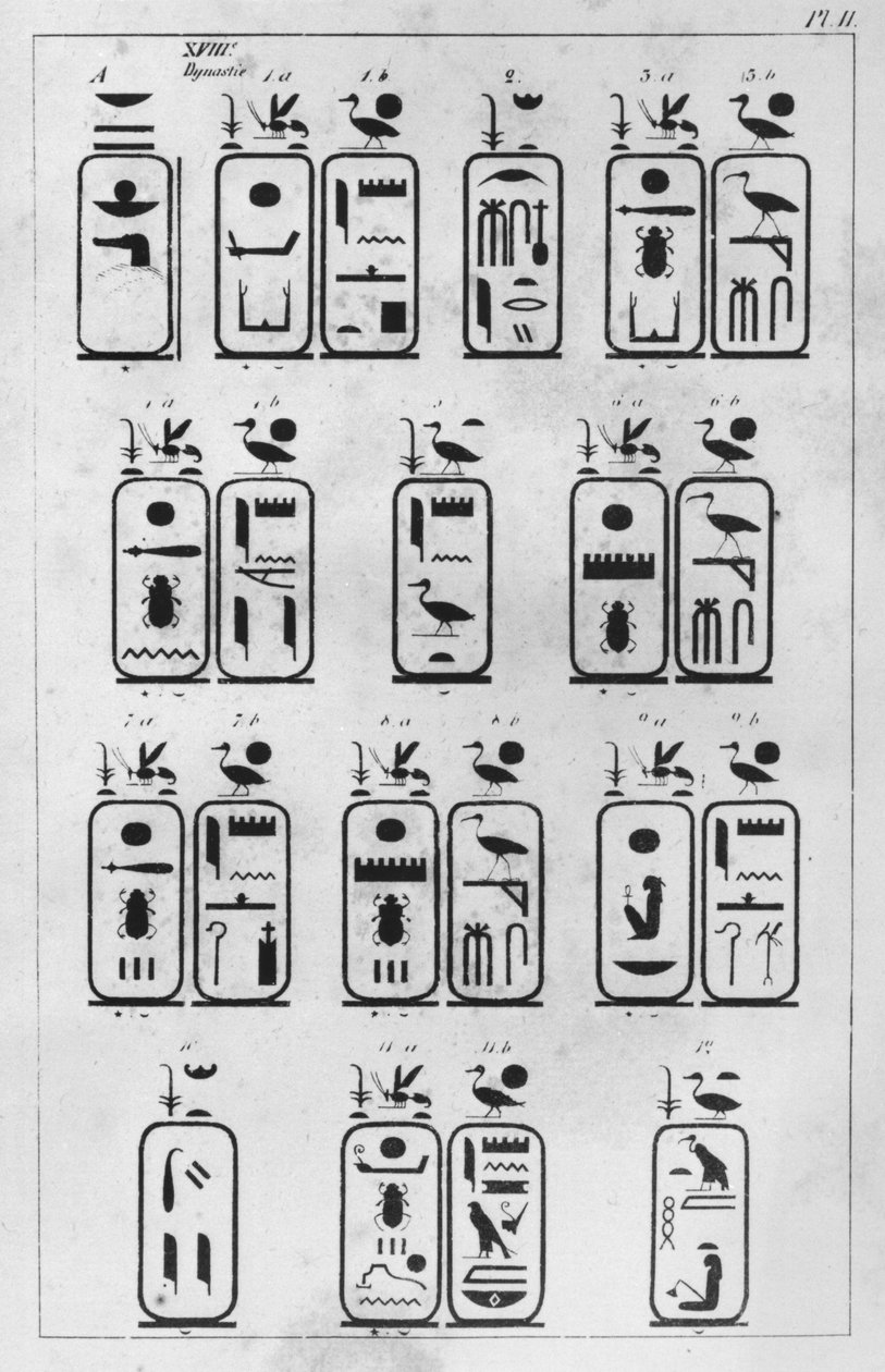 Brev rettet til den franske ambassadør Pierre de Blacas dAulps om det kongelige museum for egyptisk kunst i Torino, Kopi af kongelige kartoucher fra det XVIII. dynasti (brev 1, 1) 1824 (pen og blæk på s. af Jean Francois Champollion