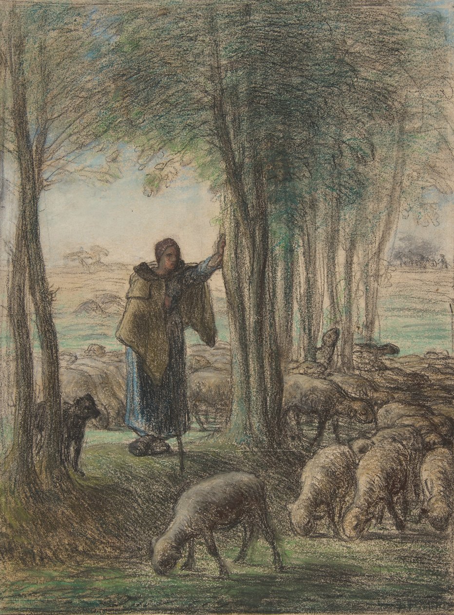 En hyrdinde og hendes flok i skyggen af træer, 1854-55 (conté farveblyant og pastel på lagt papir) af Jean Francois Millet