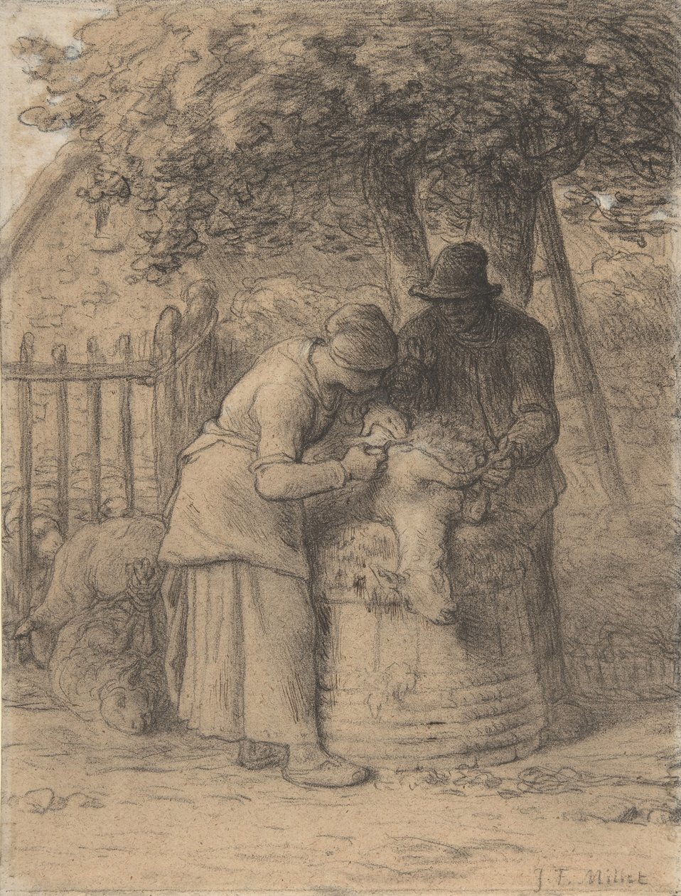 Fåreklipping under et træ, ca. 1854. af Jean Francois Millet