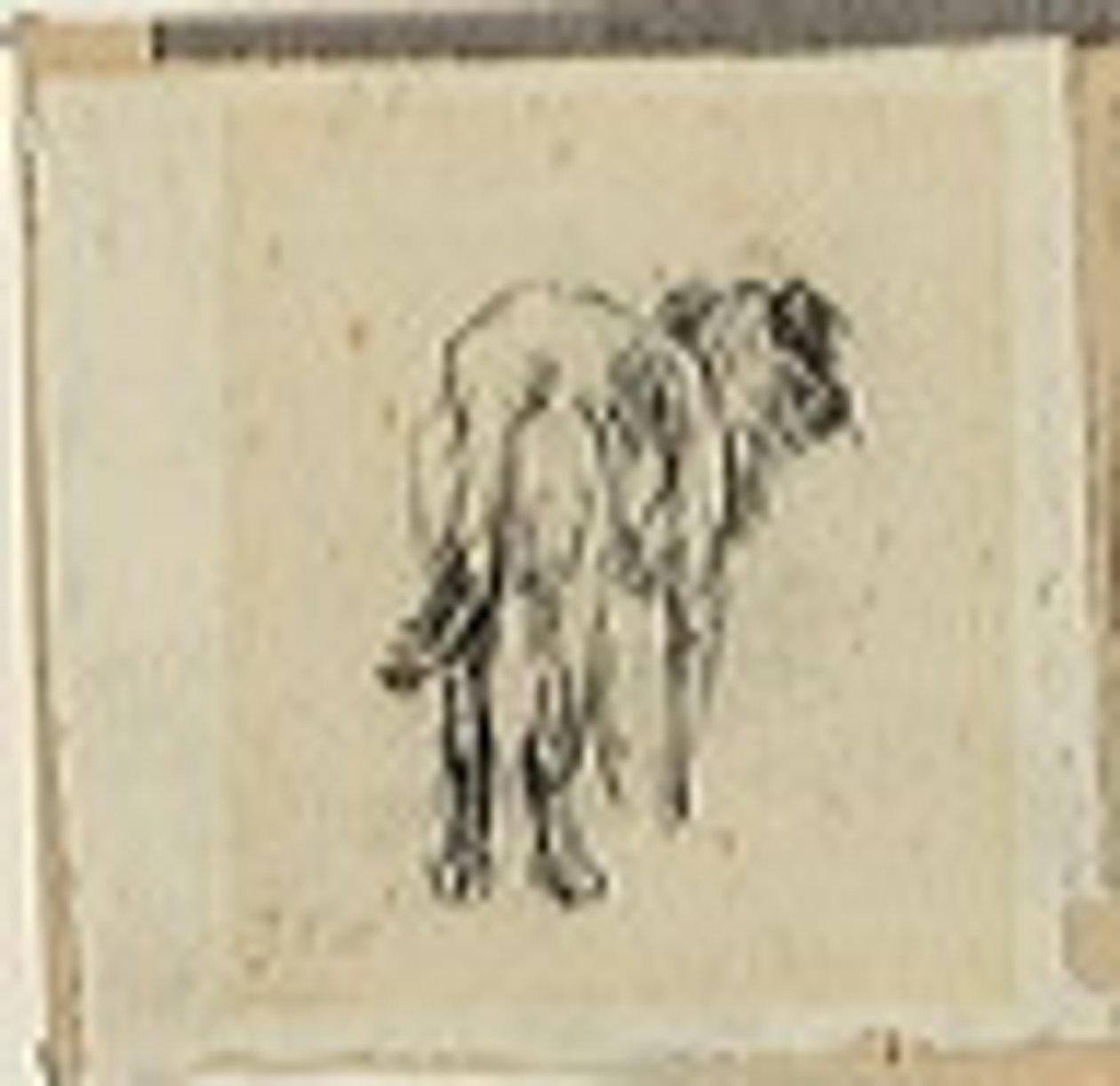Studie af en hund af Jean Francois Millet