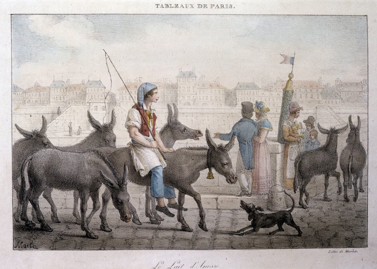 Tidligere gadehandel i Paris: købmand af æselmælk (Ane dans Paris) - Indgravering af Jean Henry Marlet (1771-1847) i "" Les Tableaux de Paris"", serie på 72 tryk, slutningen af ​​det 19. århundrede af Jean Henri Marlet