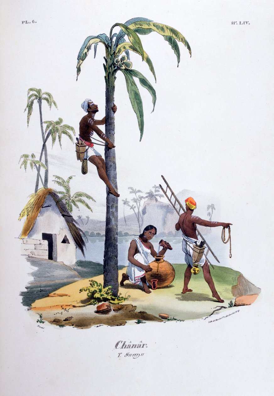 Chanar, 1828 af Jean Henri Marlet