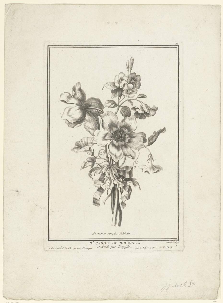 Buket af anemone og bindweed Anemones simples, Volubilis (titel på objekt) IIe Cahier de Bouquets (serietitel) af Jean Jacques Avril (I)