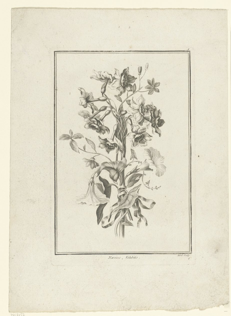 Buket af påskelilje og bindweed Narcissus, Volubilis (titel på objekt) IIe Cahier de Bouquets (serietitel) af Jean Jacques Avril (I)