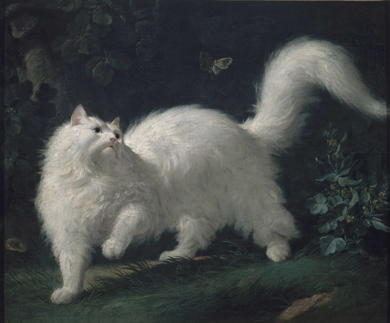 Angora kat jagter en sommerfugl, ca. 1760 (olie på lærred) af Jean Jacques Bachelier