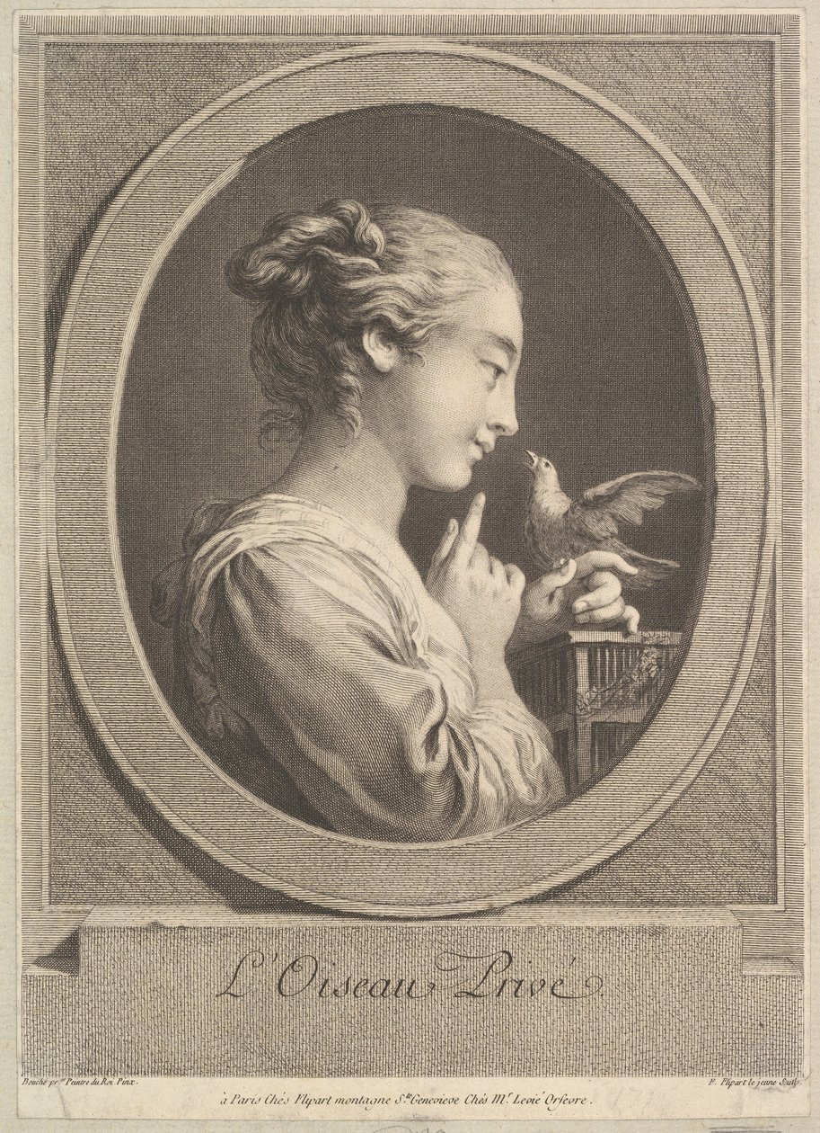 The Tamed Bird, ca. 1769. dani af Jean Jacques Flipart