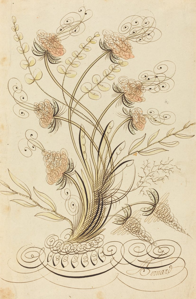 Kalligrafiske blomster af Jean Joseph Bernard called Bernard de Paris
