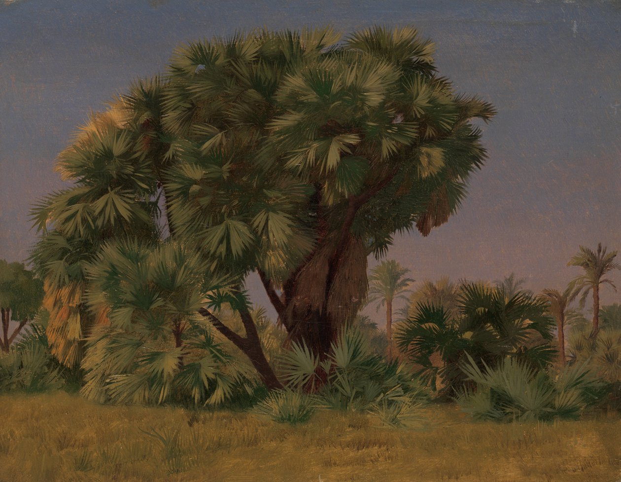 Undersøgelse af palmetræer, sandsynligvis 1868. af Jean Leon Gerome
