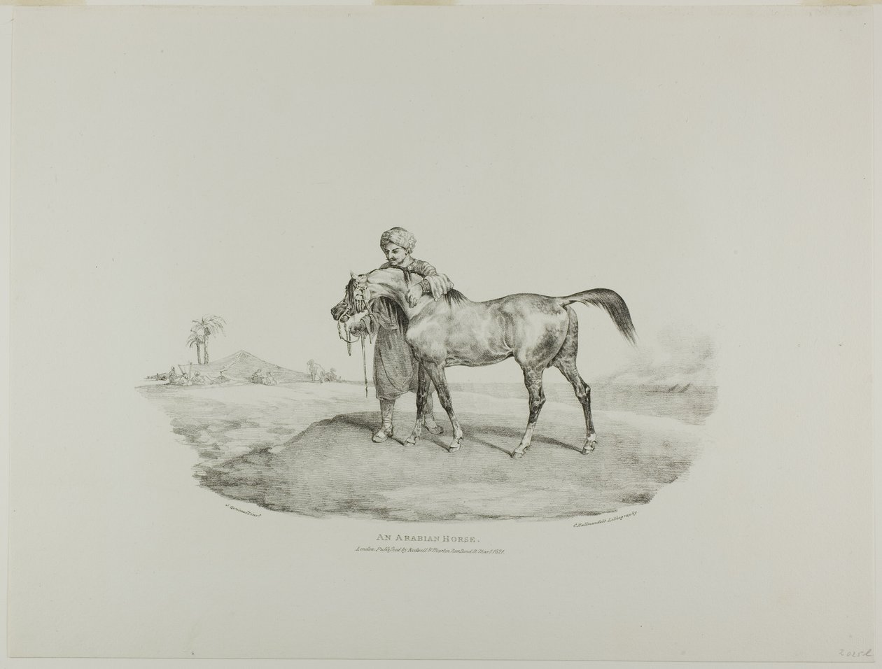 En arabisk hest, planche 8 fra Forskellige motiver tegnet fra livet og på sten (Den engelske suite) af Jean Louis André Théodore Géricault