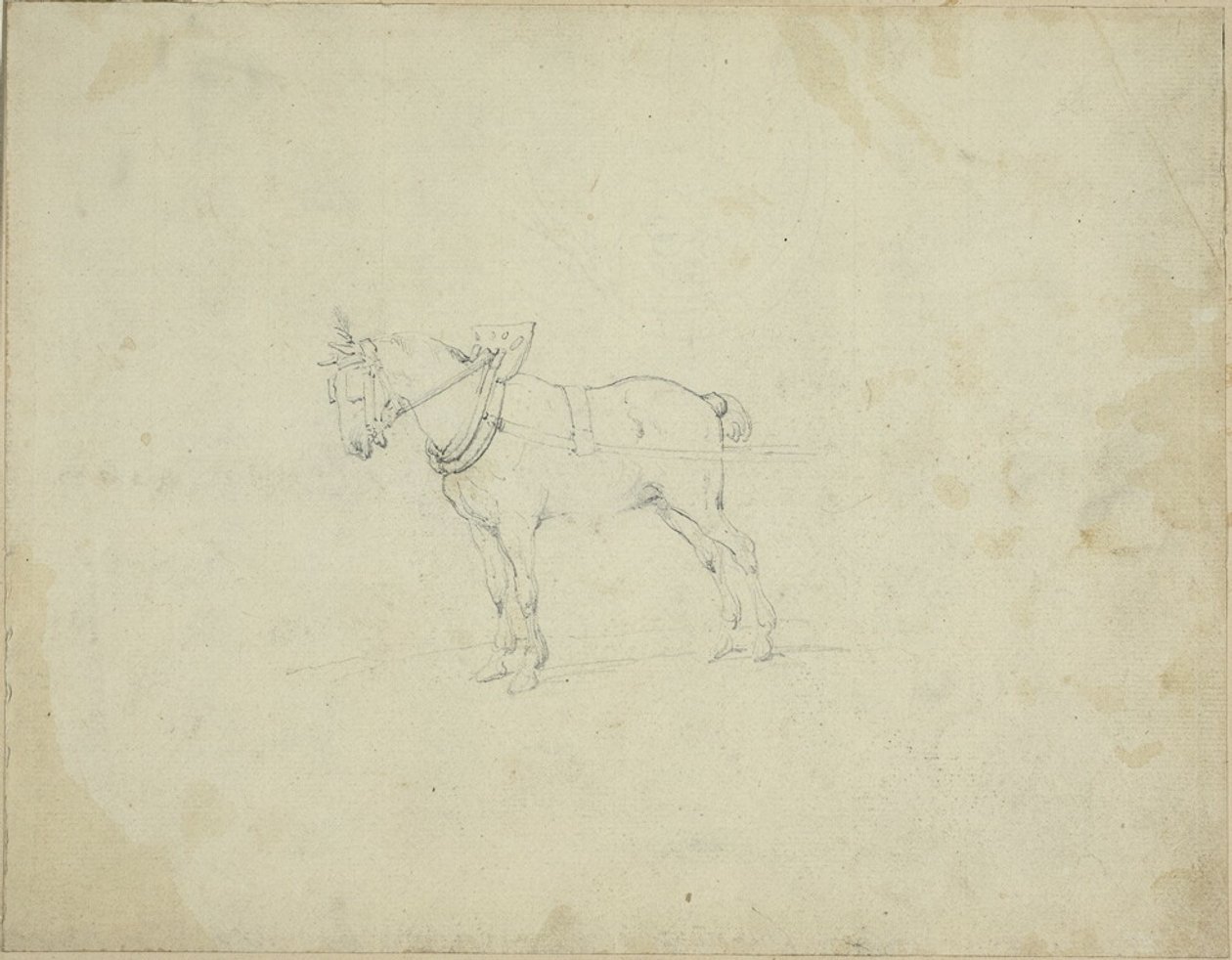 Trækhest af Jean Louis André Théodore Géricault