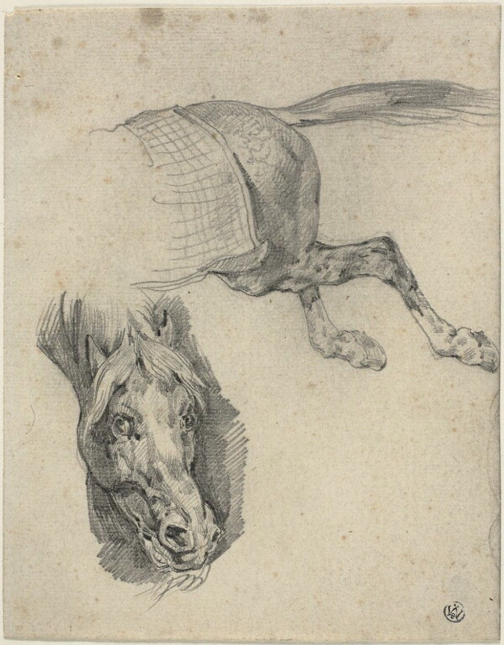 Hoved og bagparti på en væddeløbshest af Jean Louis André Théodore Géricault