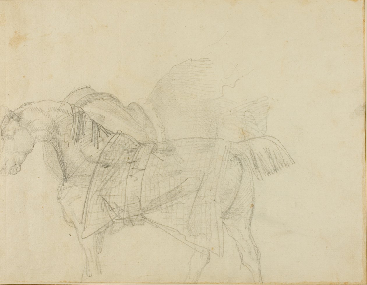 Hest iført et tæppe af Jean Louis André Théodore Géricault