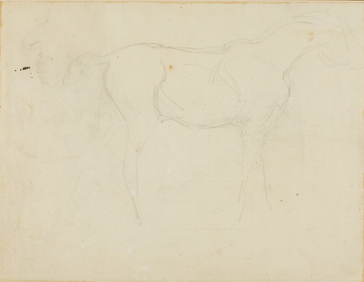 Skitse af en hest, der vender mod højre, og en karikatur i profil af Jean Louis André Théodore Géricault