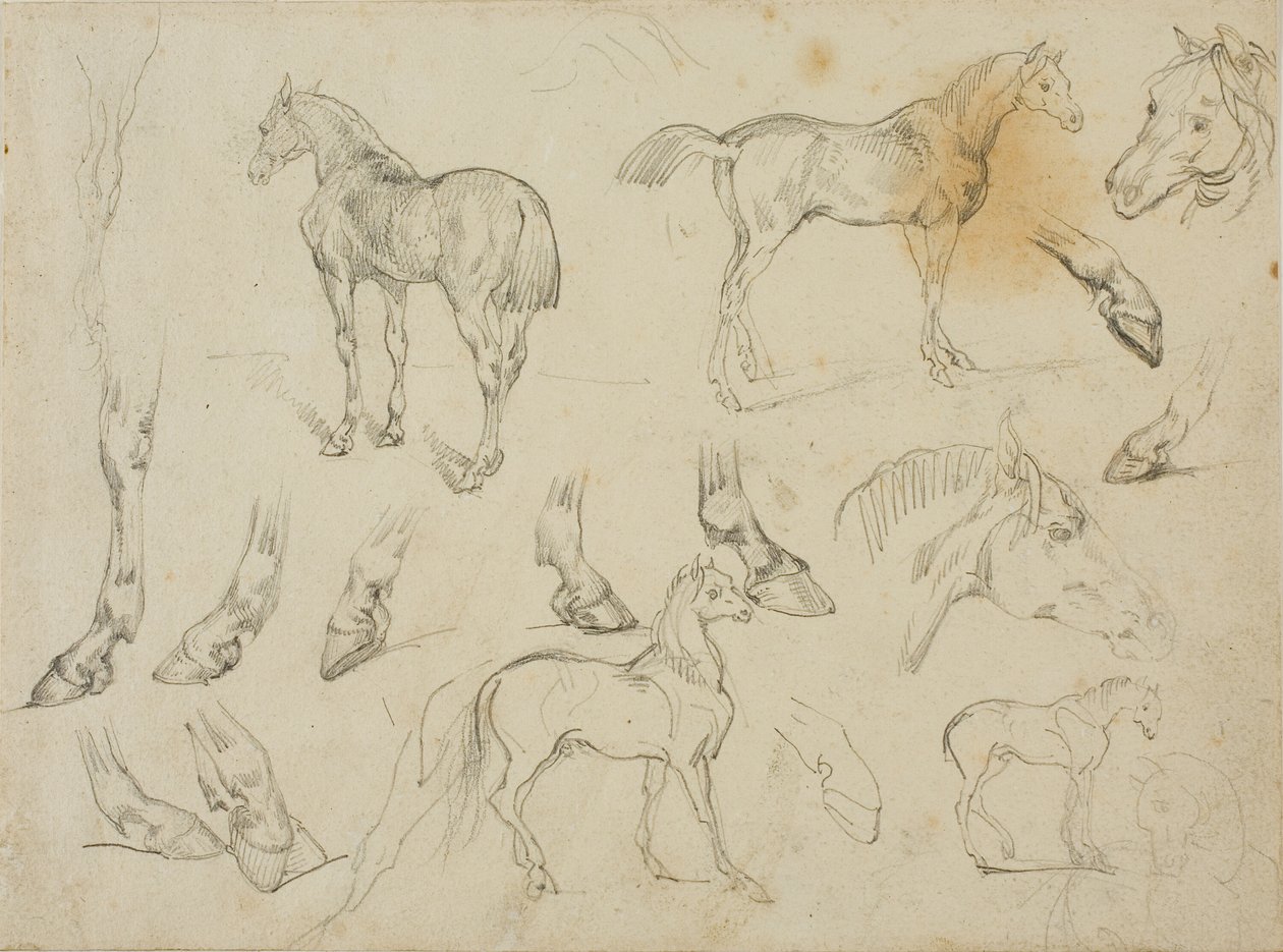 Skitser af en hest af Jean Louis André Théodore Géricault