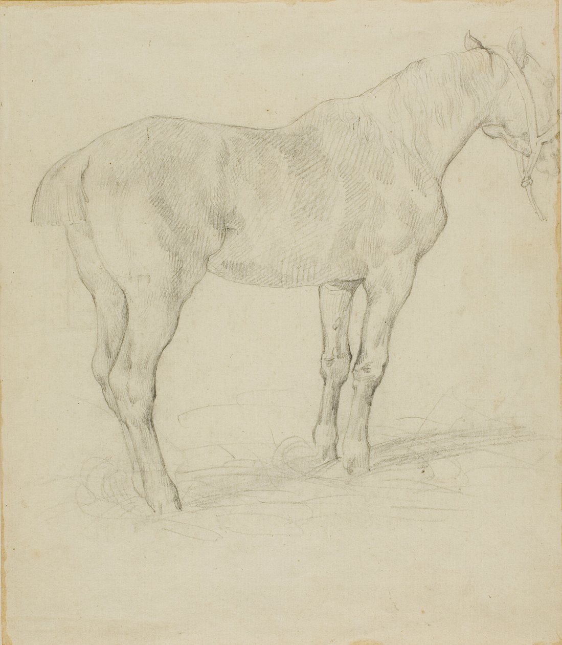 Stående hest af Jean Louis André Théodore Géricault