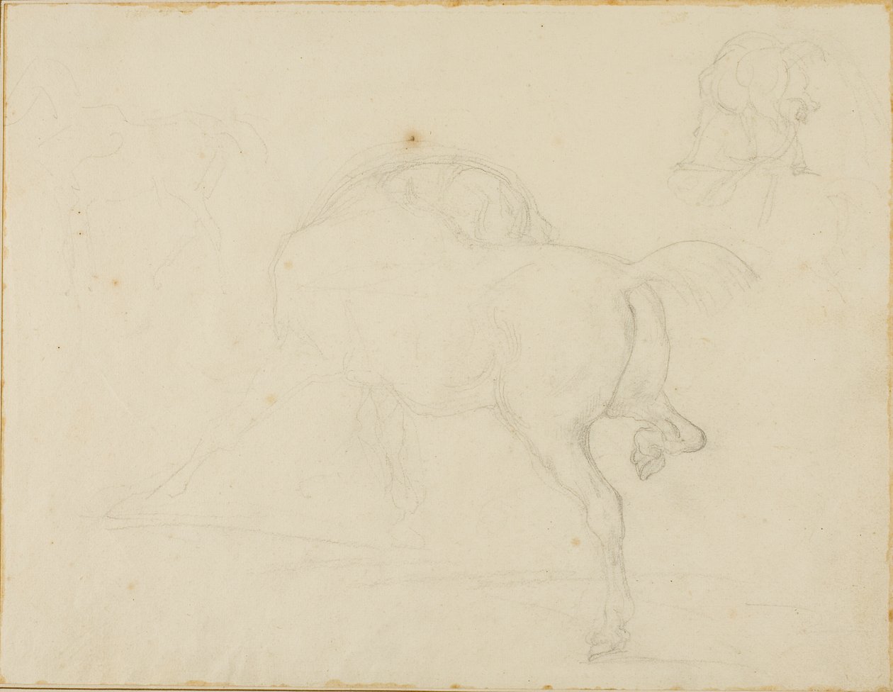 Studie af en hest, der drejer hovedet og løfter bagbenet af Jean Louis André Théodore Géricault