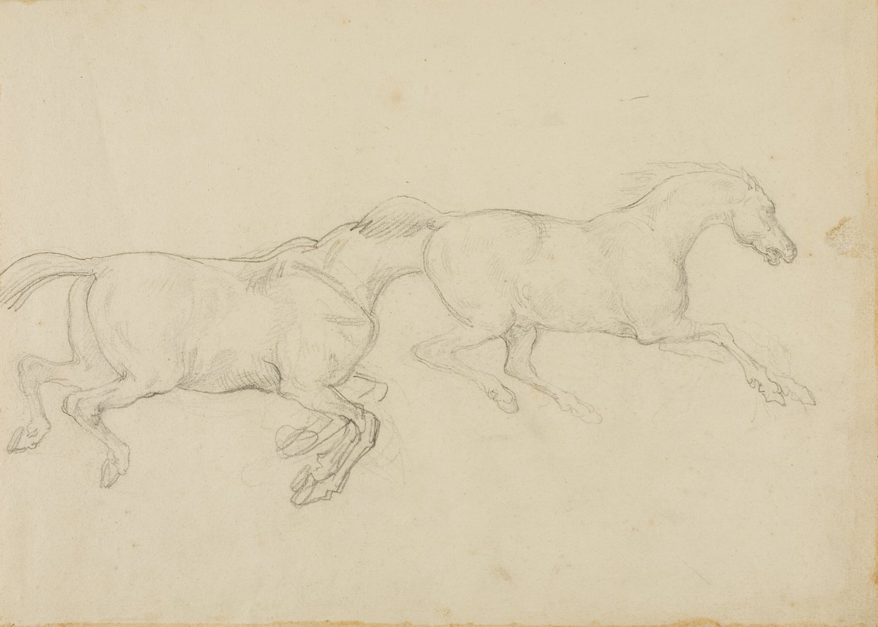 To heste galopperer til højre af Jean Louis André Théodore Géricault