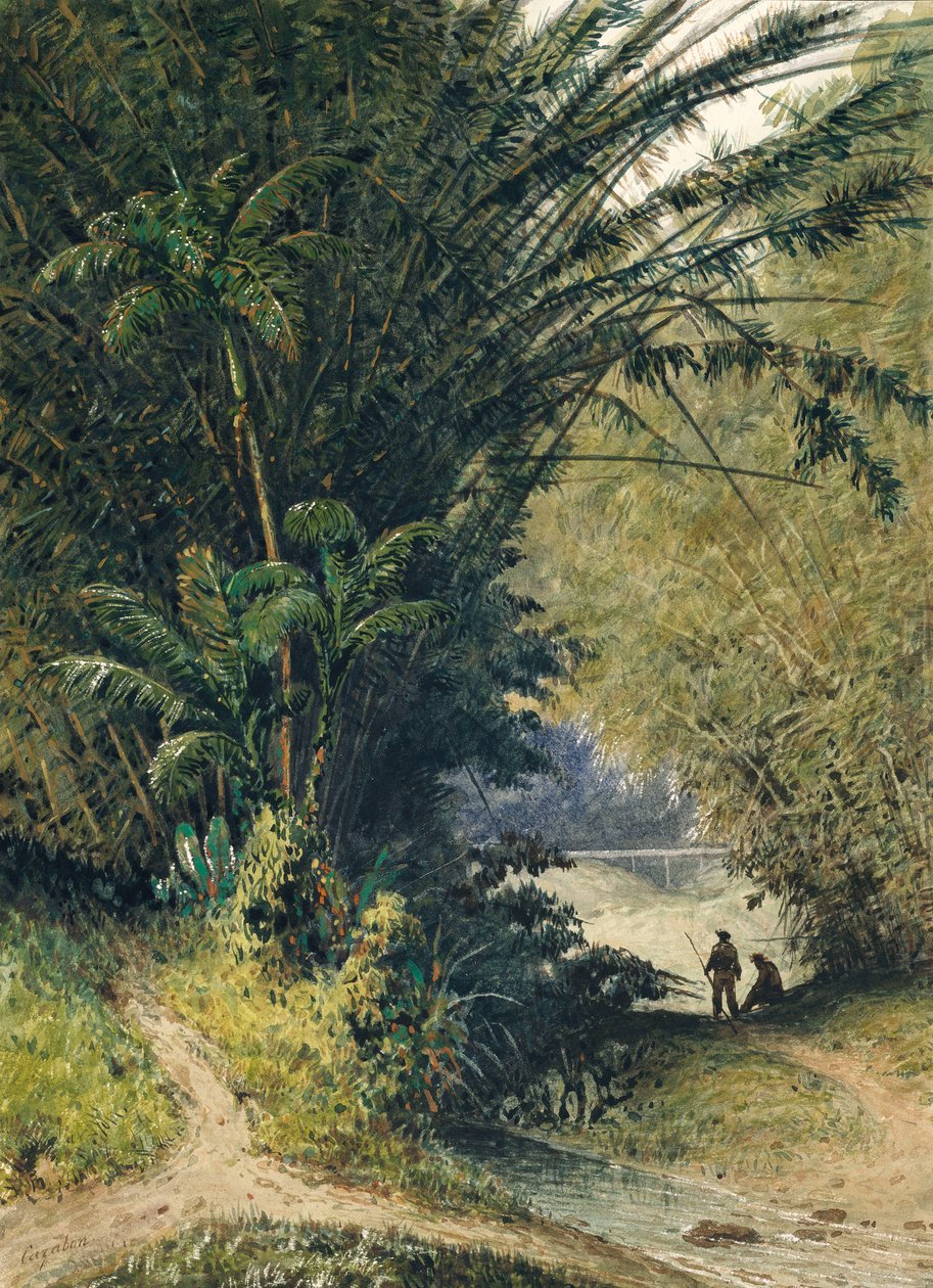 En bambuslund i Trinidad af Jean Michel Cazabon