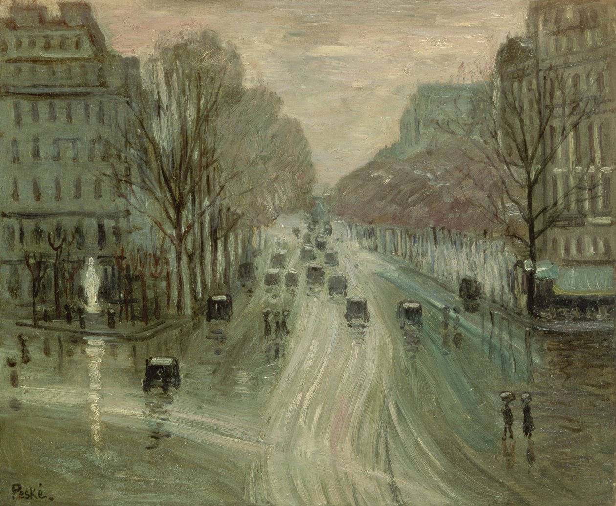 Paris under sne af Jean Misceslas Peske